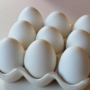 Białka jaj