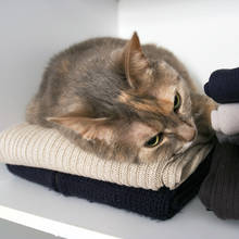 Jak oczyścić odzież z sierści?