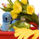 Jak przygotować dom na wiosnę?