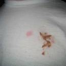 Usuwanie plam za pomocą domowych produktów