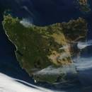 Czy w Tasmanii jest coś ciekawego do zwiedzania?