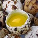 Jakie są zalety przepiórczych jaj?