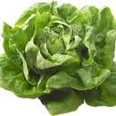 W jaki sposób zachować świeżość sałaty?