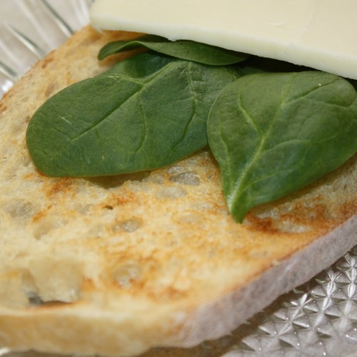 Przepis na tosty ze szpinakiem i mozzarellą