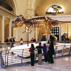 Oglądanie eksponatów