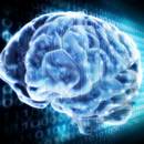 Jak poprawić pamięć?