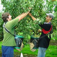 Praca sezonowa – jak nie dać się oszukać?