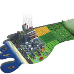 Czy jedna Ziemia wystarczy nam do życia?