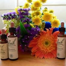 Jak przeprowadzić w domu terapię doktora Bacha?