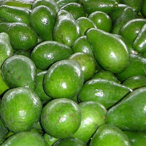 Dla układu pokarmowego