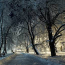 Jak sobie poradzić z zimową depresją?