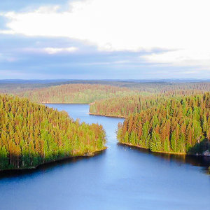 Bogactwo chleba, dom