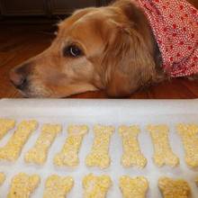 Jakie przysmaki możesz samodzielnie przygotować dla swojego psa?