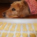 Jakie przysmaki możesz samodzielnie przygotować dla swojego psa?