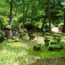 Jak zaaranżować ogródek w wiejskim stylu?