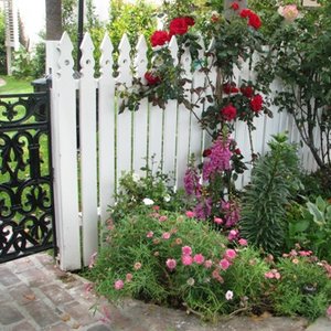 Kwiaty do wiejskiego ogrodu