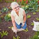 Dzień Babci w Polsce i na świecie