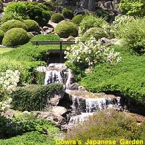 Alejki i oczka wodne