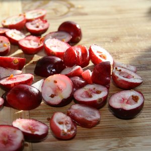 Nawożenie żurawiny