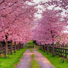 Jak sobie poradzić z przesileniem wiosennym?