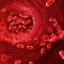 Jak prawidłowo interpretować wyniki badań krwi?