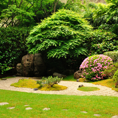 Jak zamienić zwykłe podwórko w swój wymarzony ogród?
