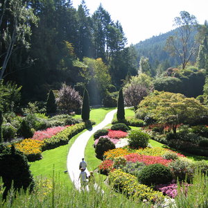 Obserwacje i zapiski