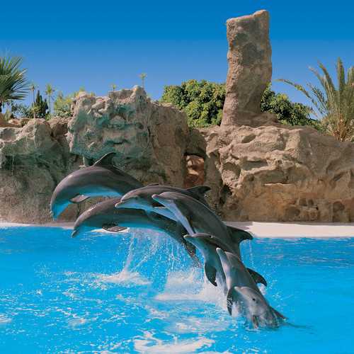 Loro Park