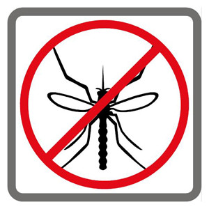 Jak pozbyć się komarów z domu?