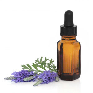 Jak chronić dom przed komarami?