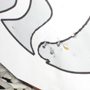 Zbliżenie na gwoździki