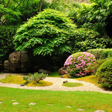 Jak odpowiednio zadbać o swój ogród?