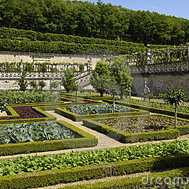 Zadbajmy o żywopłot