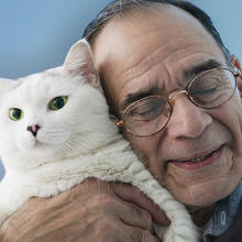 Ile lat miałby twój kot, gdyby był człowiekiem?