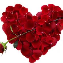 Jakich afrodyzjaków użyć w walentynki?