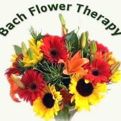 Na czym polega terapia kwiatowa?
