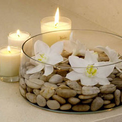 Esencje kwiatowe doktora Bacha