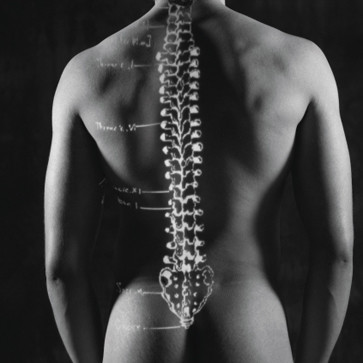 Skuteczne ćwiczenia na bóle kręgosłupa