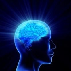 Medytacja koncentracji i jej rola