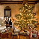 Jak przedłużyć życie świątecznej choinki?