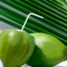 Zalety wody kokosowej