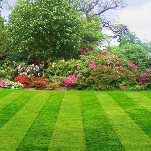 Usunięcie starej trawy