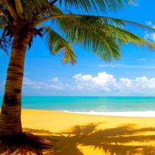 Jak radzić sobie w najbardziej upalne dni?