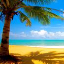 Jak radzić sobie w najbardziej upalne dni?