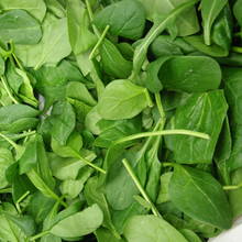 Sposoby uprawy szpinaku nowozelandzkiego