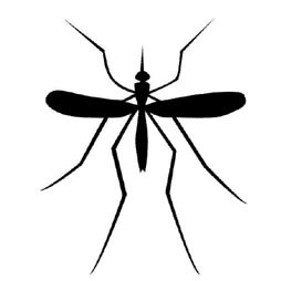 Jak przygotować bezpieczny środek na komary?