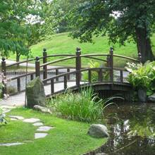 Jak założyć ogród zgodnie z zasadami feng shui?