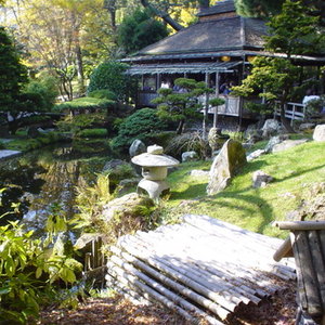 Wielkość ogrodu i najpotrzebniejsze rzeczy