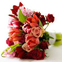 Jakie kwiaty można podarować na walentynki?