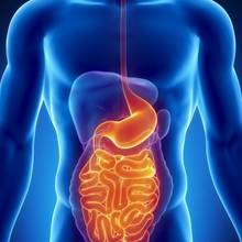 Co warto wiedzieć o procesie trawienia?